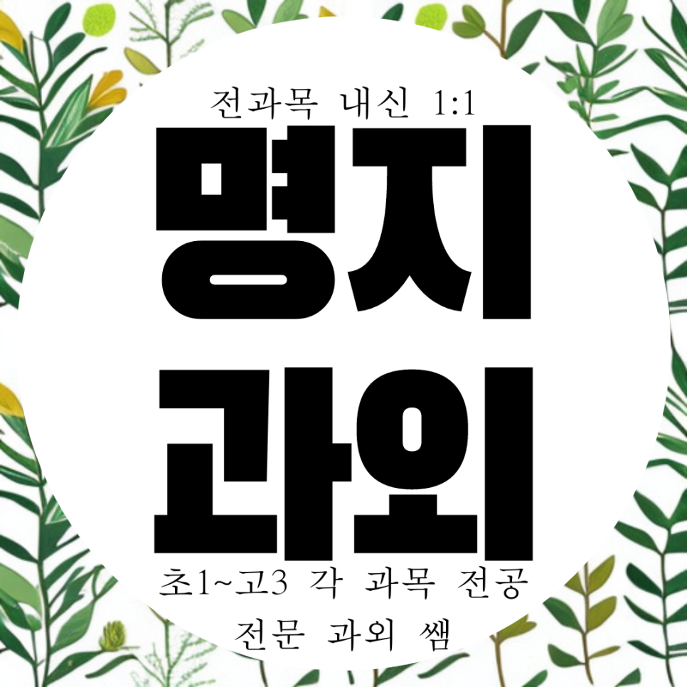  명지오션시티 고등 수학과외 명지영어도시 중학생 영수 명지퍼스트월드 중등 국어과외