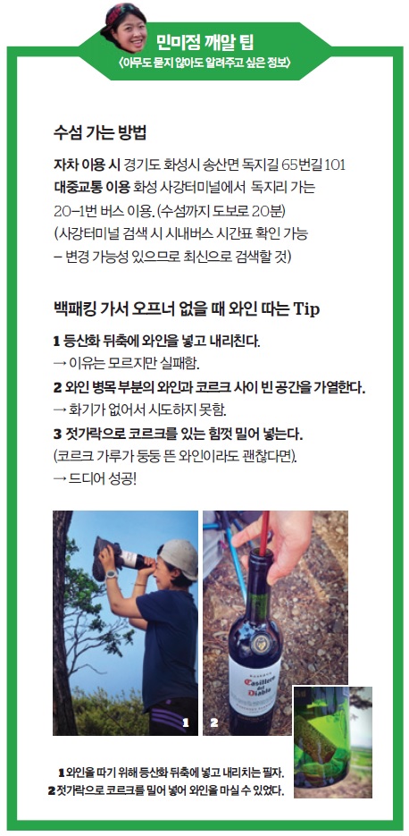 낭만고래 이미지