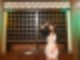 드라마세트장 (호텔델루나)) 전시회 리뷰 논현역 놀이도구) 이색전시회 ♬ 사진찍기전시회 10