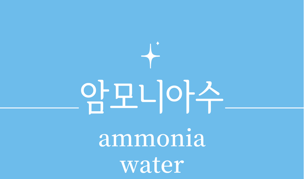 &#39;암모니아수(ammonia water)&#39;