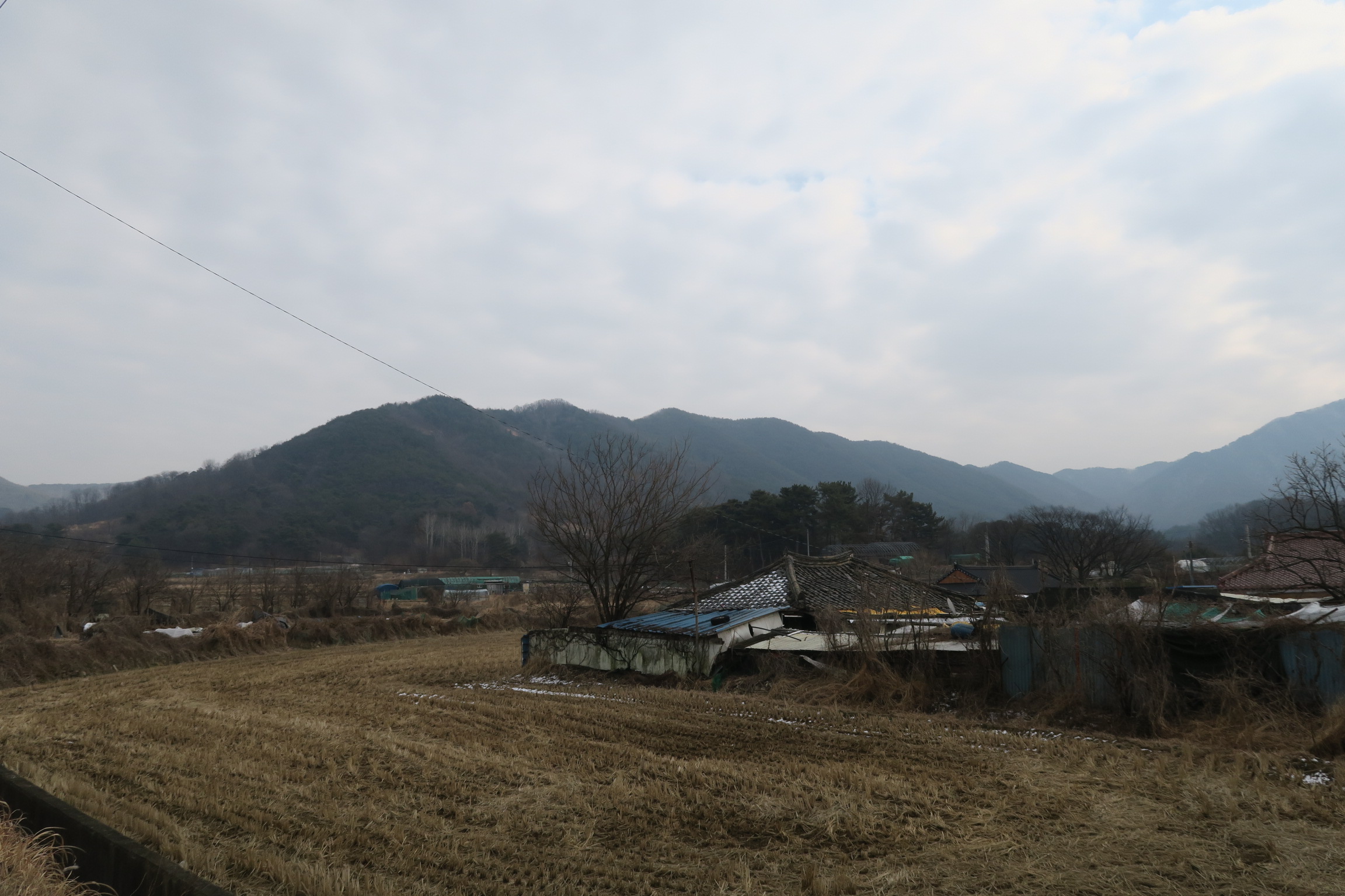 전평못식당 이미지