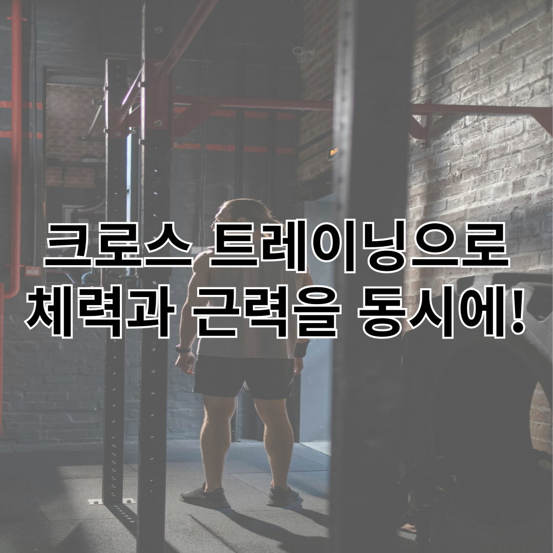 크로스 트레이닝으로 체력과 근력을 동시에!