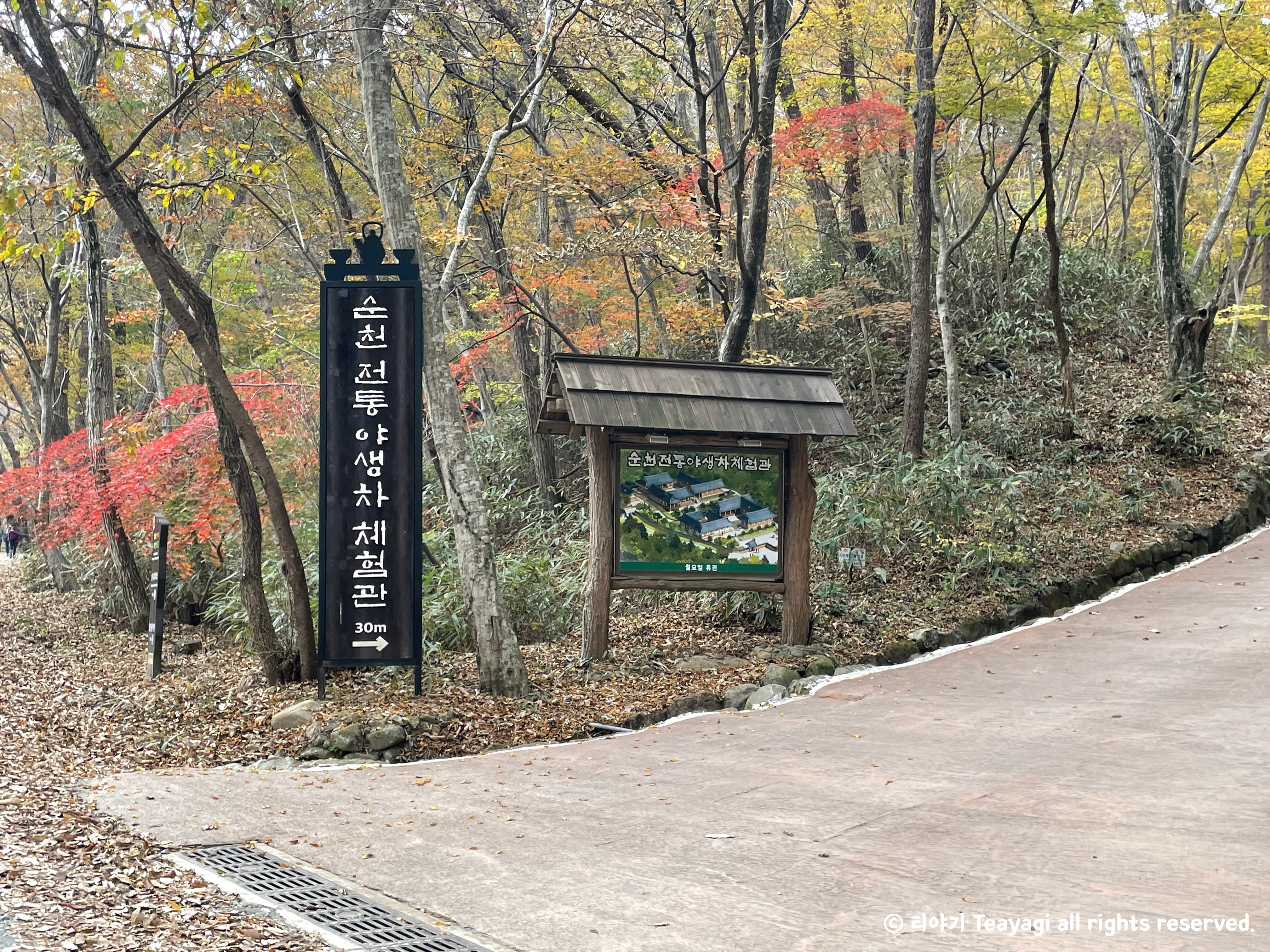 전라남도-순천의-가을단풍명소-선암사-차체험관