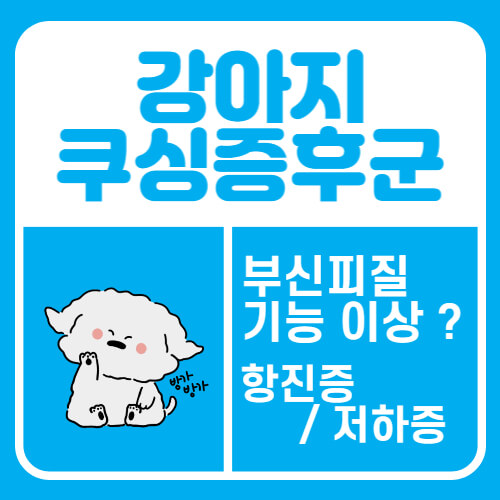 강아지 쿠싱 증후군