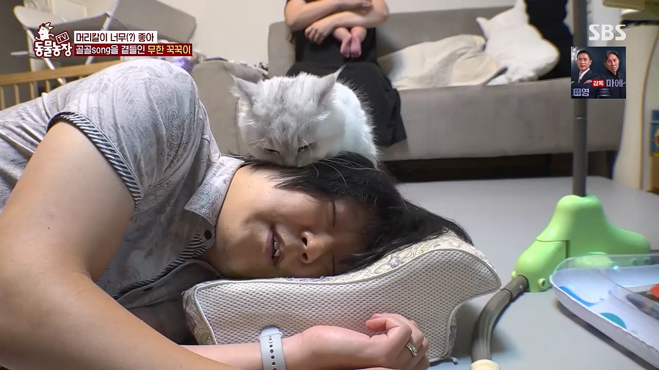 TV 동물농장 1189화 다시보기.ts_20240922_161940.194.jpg