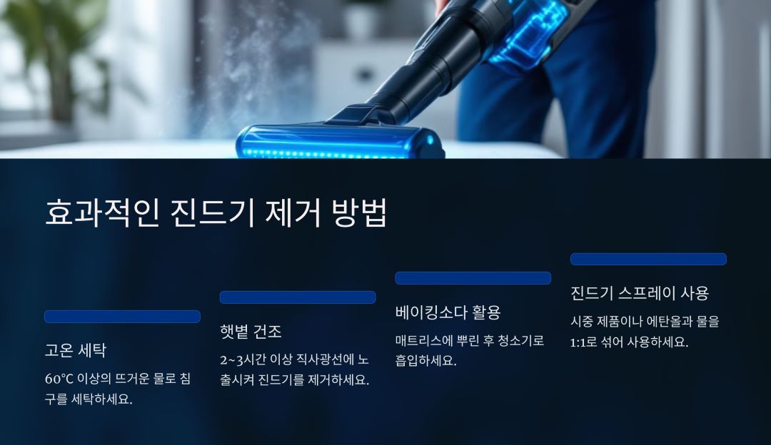 침대 진드기 제거 방법