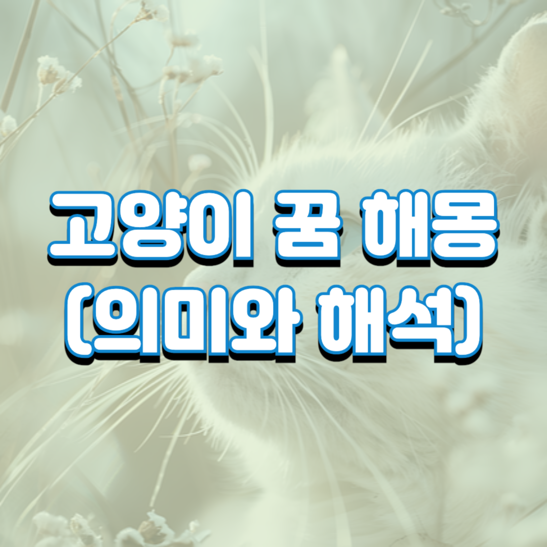  고양이 꿈 해몽(의미와 해석)