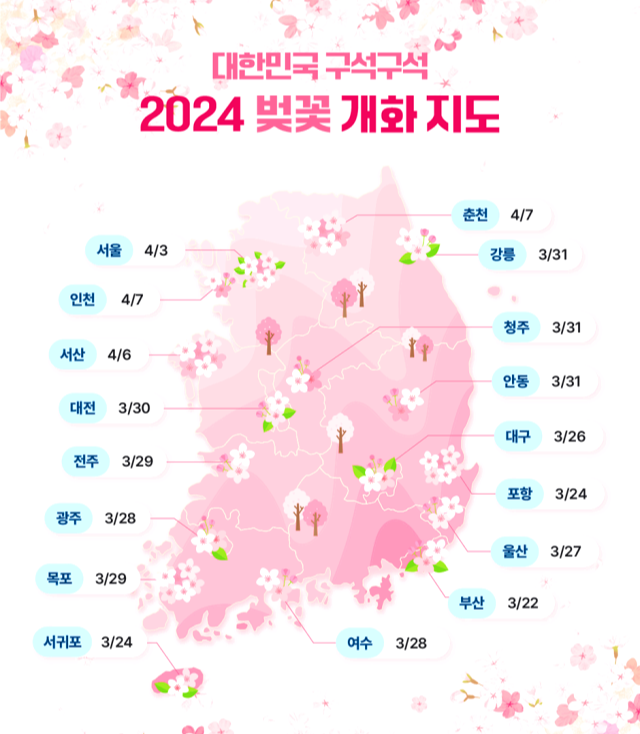 2024 벚꽃개화시기