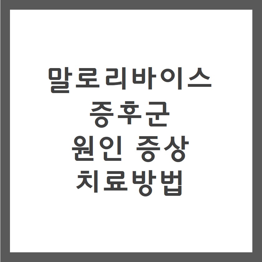 말로리바이스 증후군 증상 원인 치료방법