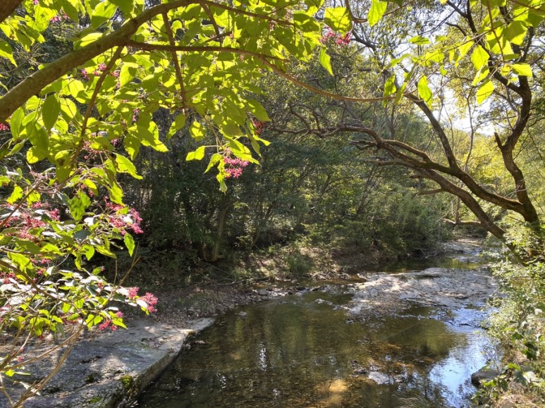 직소 [부안/변산면] : 변산반도국립공원 23