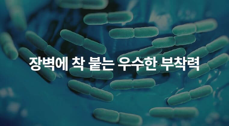 애터미 마이크로바이옴