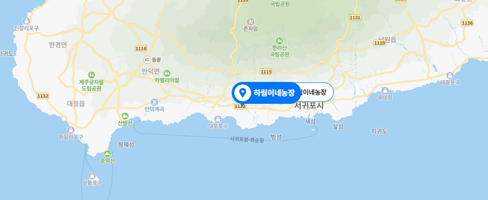  [제주 맛집/중문 맛집] 하림이네 두루치기 몸국
