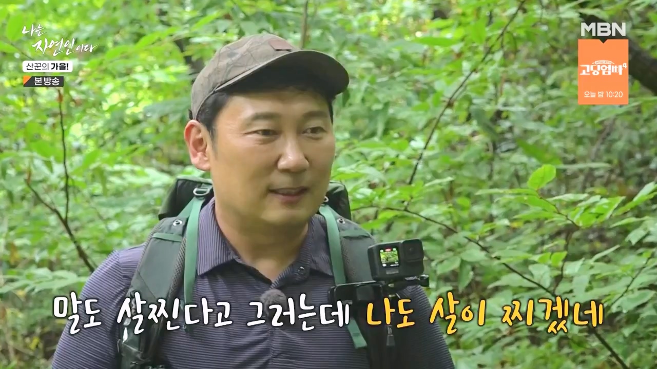 나는 자연인이다.E574.231005p-NEXT.mp4_20231005_200546.035.jpg