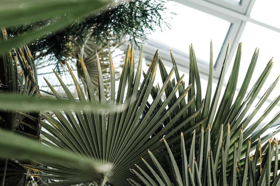 Botanical Garden