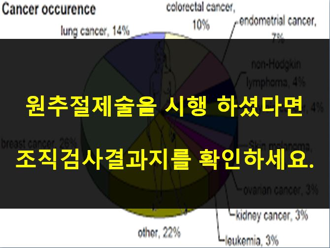 중증 자궁경부이형성증(CIN3)의 명쾌한 보상해결. (진단코드 N87, D06) 중증 자궁경부이형성증(CIN3)의 명쾌한 보상해결. (진단코드 N87, D06)