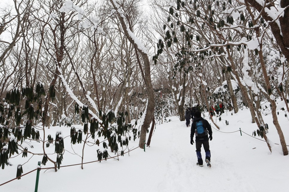 눈쌓인 겨울산 이미지 80