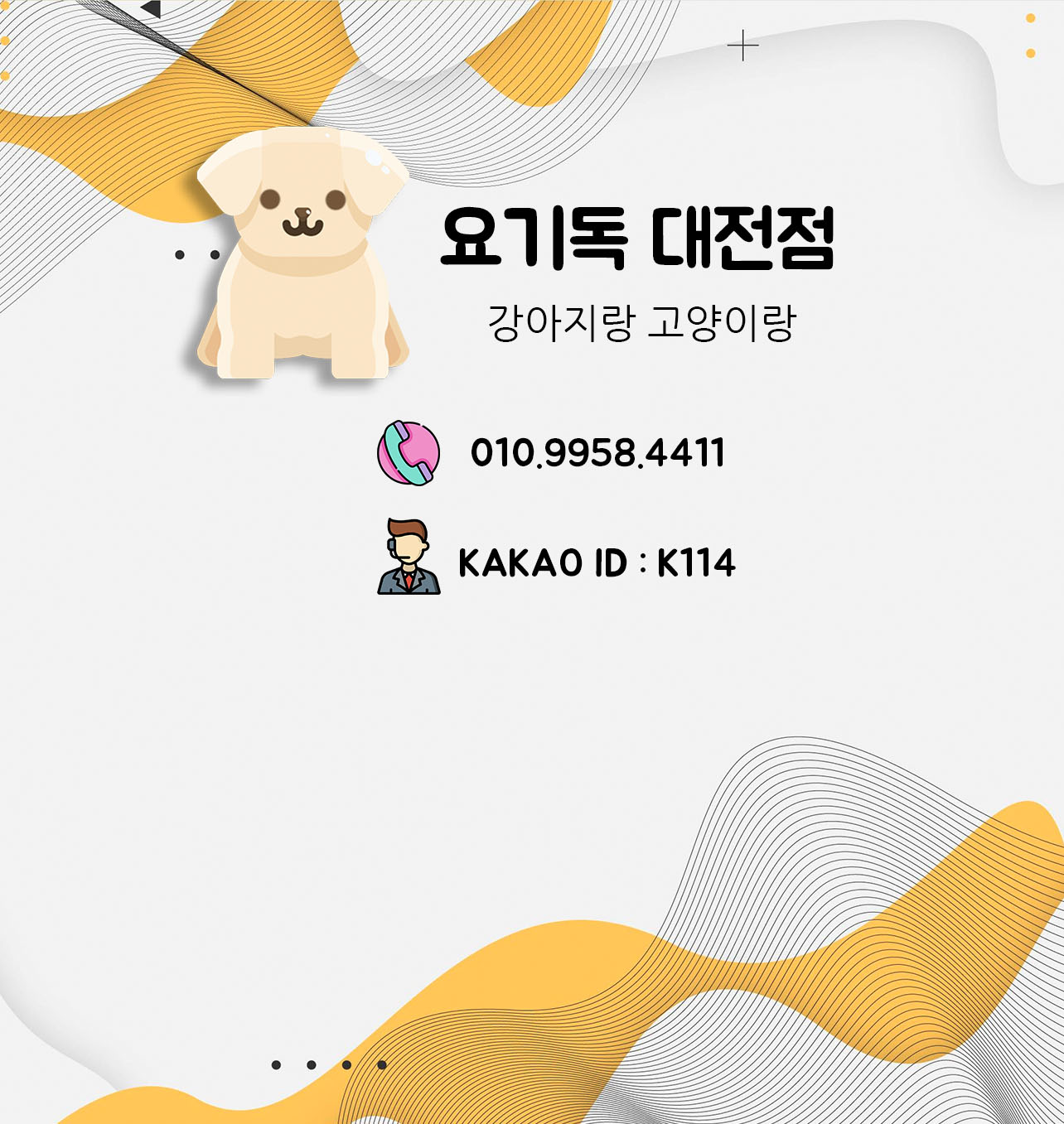  대전 강아지분양은 요기독에서 받아야지!