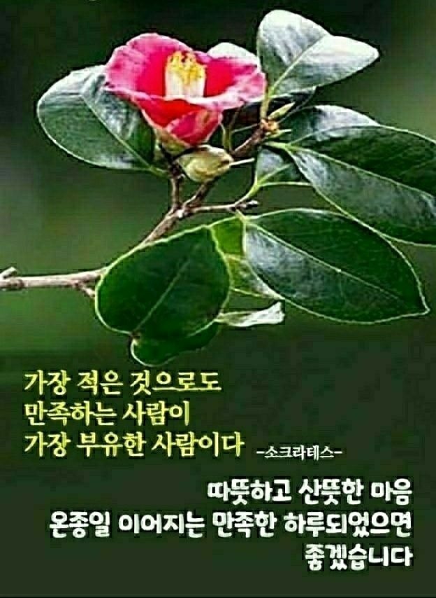  오늘의 좋은글 266번째 장애물이 있다는것은 그만큼 성공에 가까이 있다는 곳으로 좀 더 최선을 다해야 합니다
