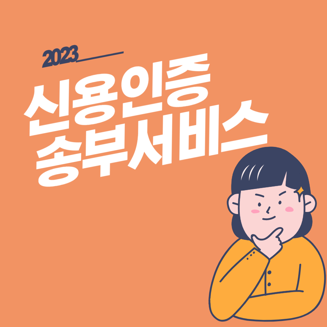 신규정책