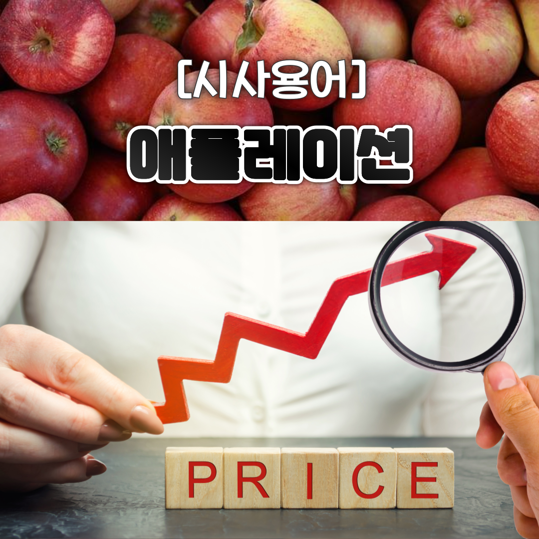 시사용어_애플레이션