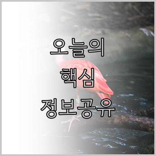 일본 펜션 3곳 비교분석.. 어떤 펜