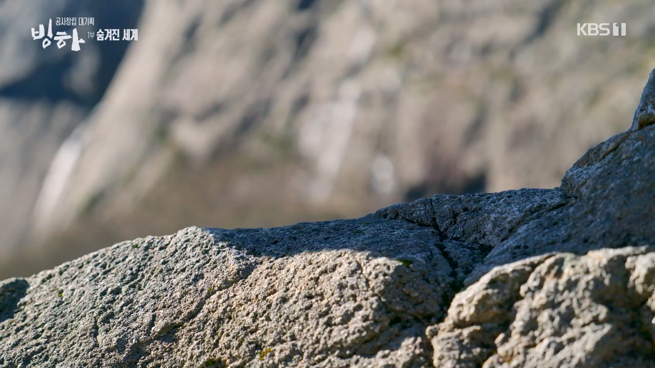 KBS 대기획 3부작 빙하.E01.240308p-NEXT.mp4_20240310_145940.354.jpg