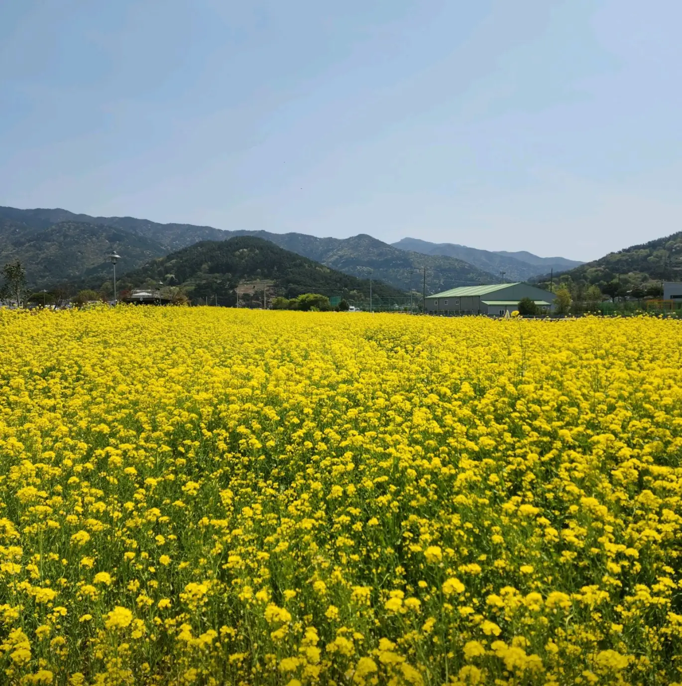 사진35