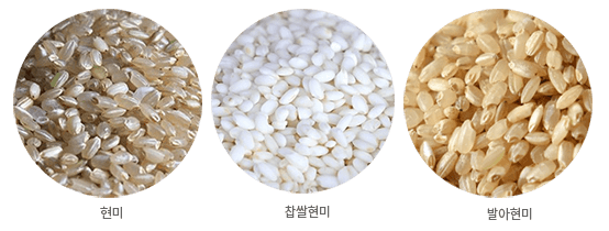 현미-쌀-종류