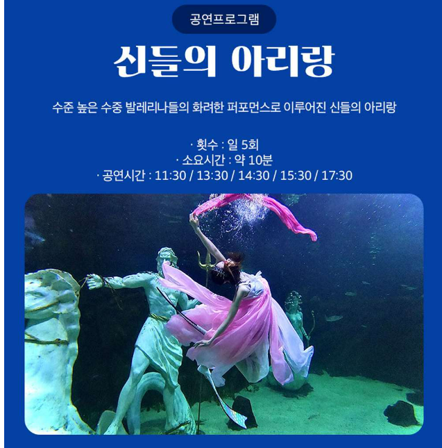 대전 아쿠아리움 수중 발레 공연