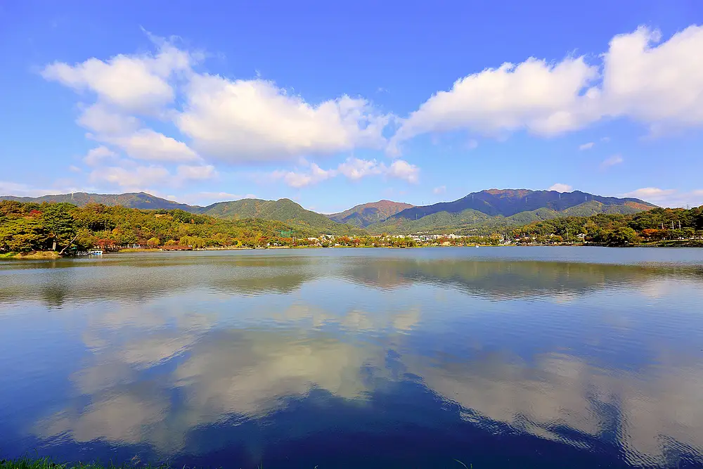 충북 제천 비행장, 삼한의 초록길, 에코브릿지 전망대, 의림지, 예빛마을, 맛집 식당 가볼만한 곳 추천