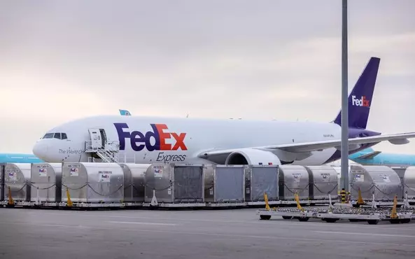  FedEx 역사/철학/분야/전망 에 대해 알아보기