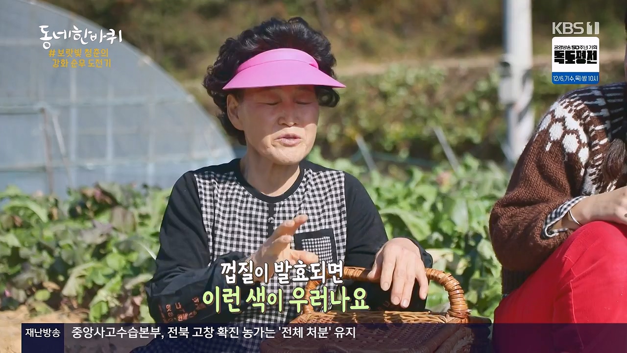 동네 한 바퀴.E249.231126p-NEXT.mp4_20231127_211754.179.jpg