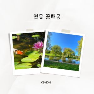 연못 꿈