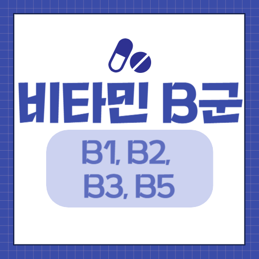 비타민 B군 - B1, B2, B3, B5