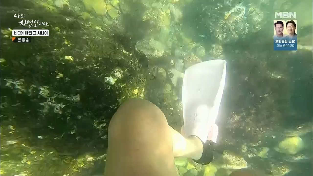 나는 자연인이다.E530.221131p.H264-F1RST.mp4_20221201_212027.631.jpg