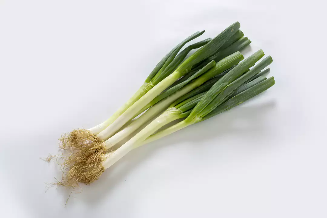  대파의 효능 종류 맛과 향 영양 쓰임새 각종 정보