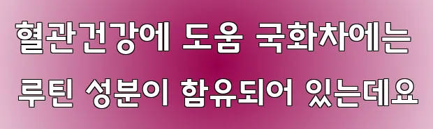 혈관건강에 도움 국화차에는 루틴 성분이 함유되어 있는데요