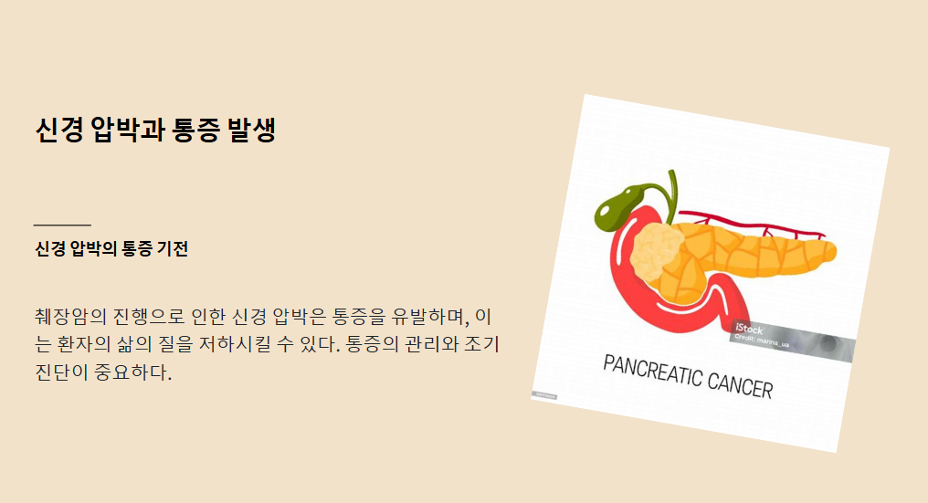 췌장암 초기 증상 – 절대 놓치면 안 되는 신호(침묵의 장기)