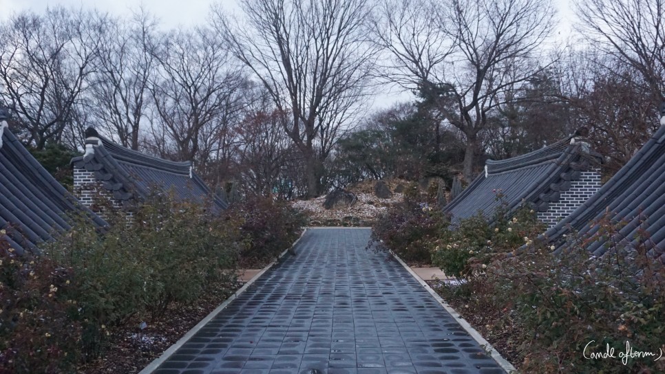 전주 겨울여행 전주겨울여행/한국도로공사 51
