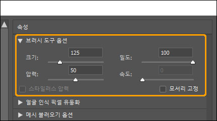 브러시 옵션 항목