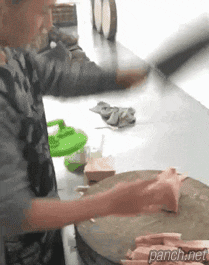  중국산 칼 vs 냉동고기