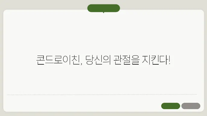 콘드로이친 풍부한 음식 TOP 5 효능 부작용