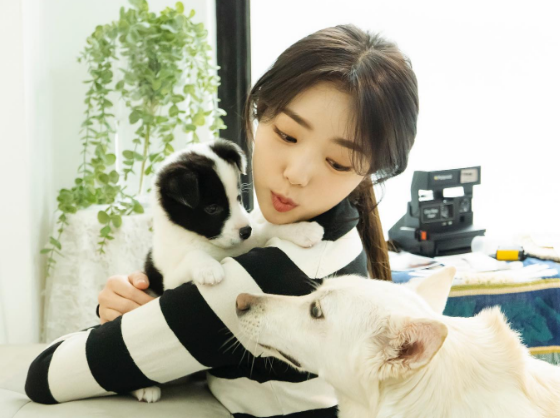 채수빈2