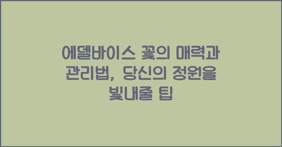 에델바이스 꽃의 매력과 관리법