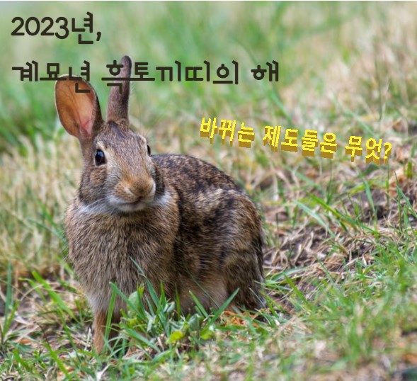 계묘년 2023년