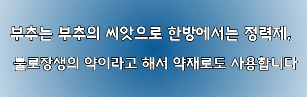 부추는 부추의 씨앗으로 한방에서는 정력제, 불로장생의 약이라고 해서 약재로도 사용합니다
