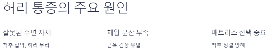 허리 통증의 주요 원인