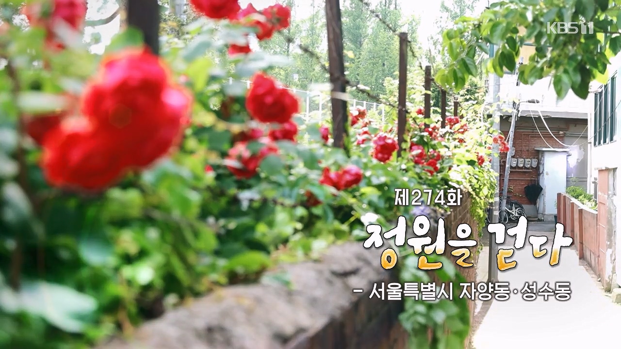 동네 한 바퀴.E277.240609p-NEXT.mp4_20240609_160400.181.jpg