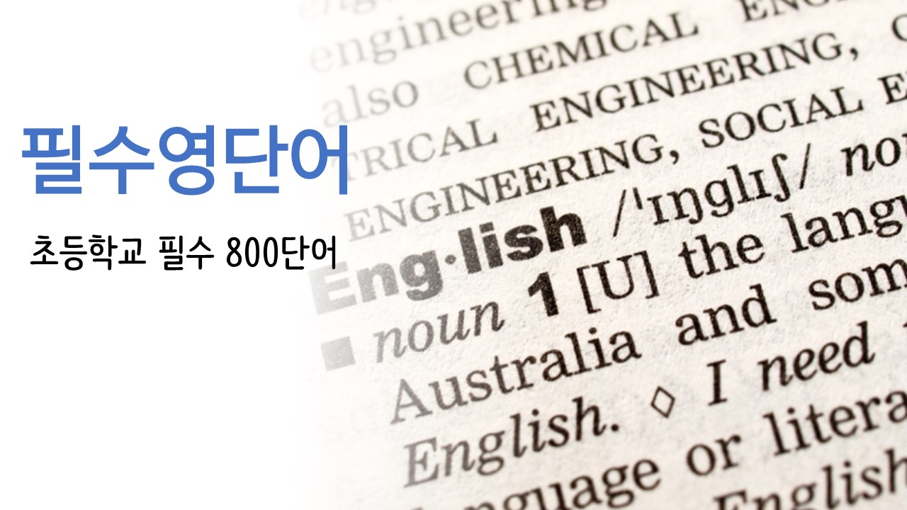  초등학교 필수 영단어