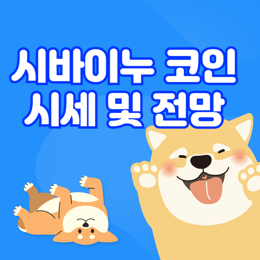 시바이누 코인 시세 및 전망